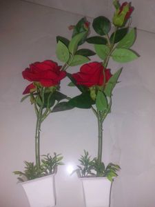 2 Piece- Artificial ROSE 🌹 PLANTS