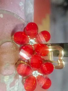 Hair Clip
