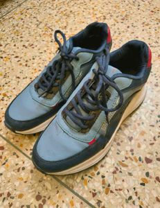Asian Sports Shoes For Men, Women, Children