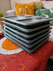 6 Disposable Packing Plates W spoons