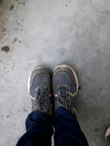 Grey Sports Shoe