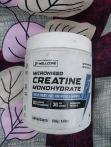 Wellcore Creatine Monohydrate 250 gm 150 grams le