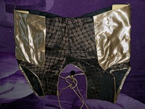 Black And Golden Blouse