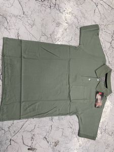 Big Brand Sage Green Polo Shirt