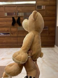 Cute City Toy Teddy Bear