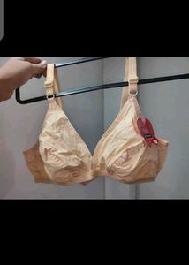Bra and Stole