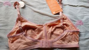 Zivame Women Double Layered Bra