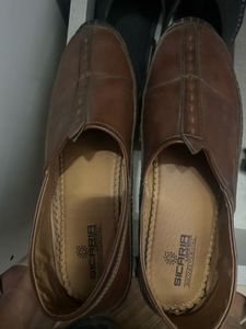 Sicaria Tan Bellies Wore Thrice Only With Box