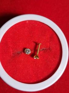 Elegant Stud Earrings very Shaining