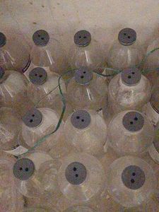 Glass Bottle 500 ml With Cap