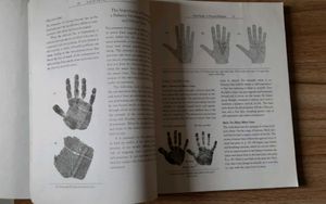 Book - Love In The Palm Of Your Hand