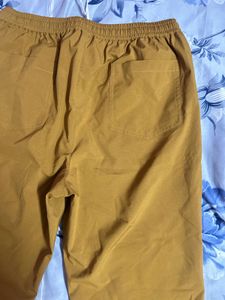 Mustard Casual Pants