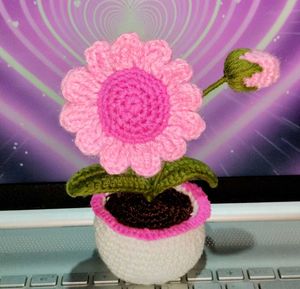 Crochet Pink Potted Flower