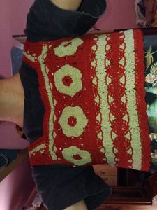 Crochet Knit Top