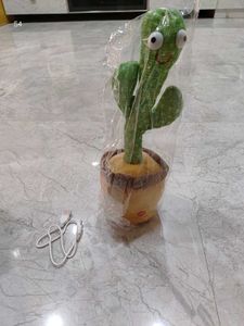 Dancing Cactus Toy