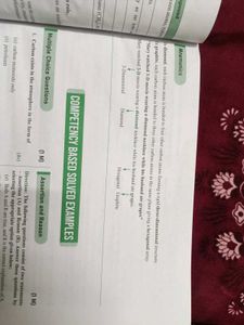 Class 10th CBSE Pw Science Question Bank