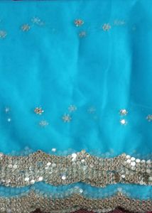 Net Sarees &amp; Blaus