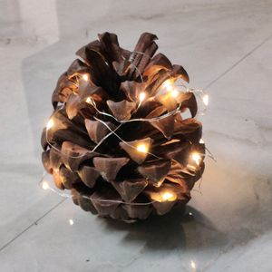 1 Pine Cone And Battery LED Light