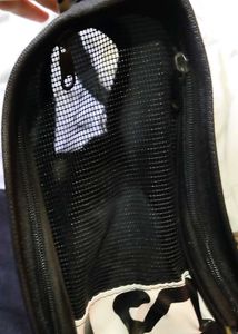 Nice Carry Bag For Kittens Or Small Cat
