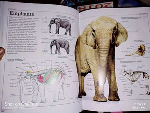 general knowledge books high quality to learn about univers and world