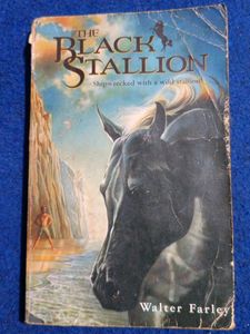 Black Stallion