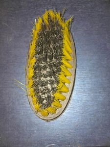 Brush