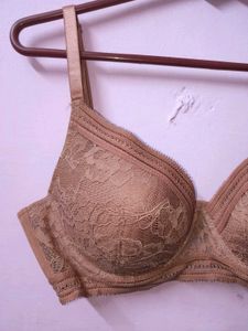 New Lace Detail Everyday Bra