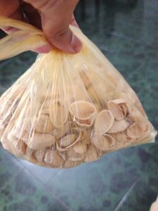 Pista shells for creative craft works