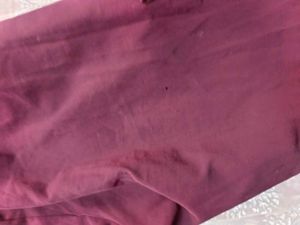 Parachute Cargo Joggers (women's)