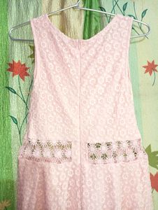 Pink Lace Fit &amp; Flare Dress