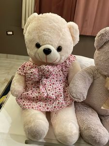 Cute Teddy Bear Duo
