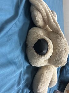 Large Plush Beige Puppy