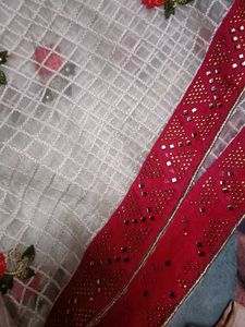 Beautiful Organza Saree