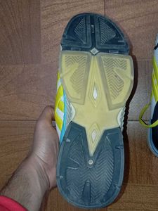 Mens Multicolor Shoe