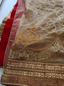 Orange Beige Net Saree