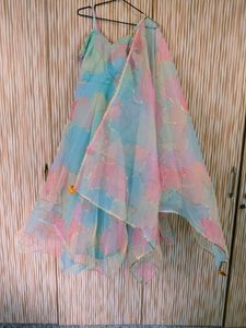 NEW Organza Anarkali