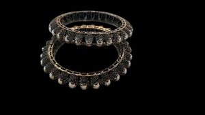 Elegant Bangle Set