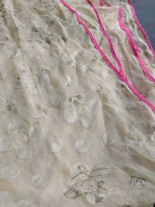 Beautiful Beige Dupatta