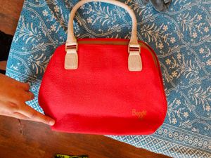 Brand new Baggit Handbag