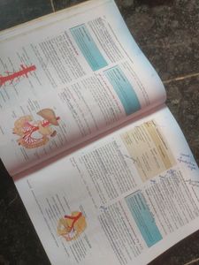 Wolters Kluwer Anatomy And Physioloy Textbook