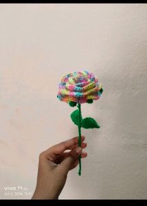 Any 1 Rose For 99/- Only 🌹