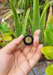 NYbae ORIGINAL lipstick 💄
