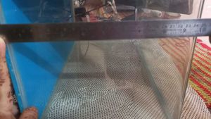 new fish tank aquarium With Blue Tube Light