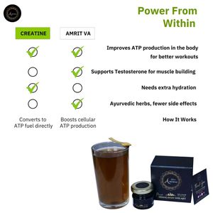 Shree Amritva Himalayan Shilajit, pure resin