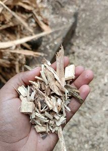 Firewood Wood Clips 5 Kg