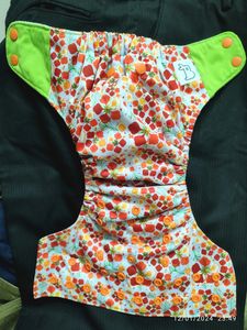 Superbottom Diaper+ Inserts+Booster Set