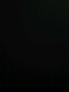 Test Cash 1