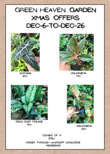 Green Heaven Garden Xmas Offers