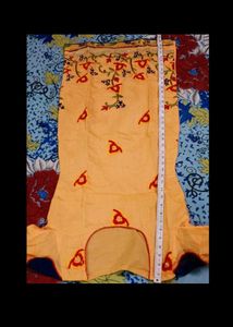 Kurti Dupta And Skirt