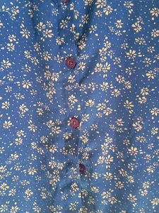 Floral Sleeveless Blue Top